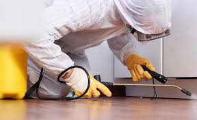 Best Termite Inspection and Treatment  in Bell, CA